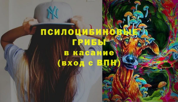 ECSTASY Дмитров