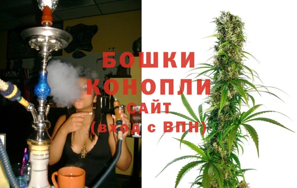 ECSTASY Дмитров
