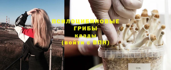ECSTASY Дмитров